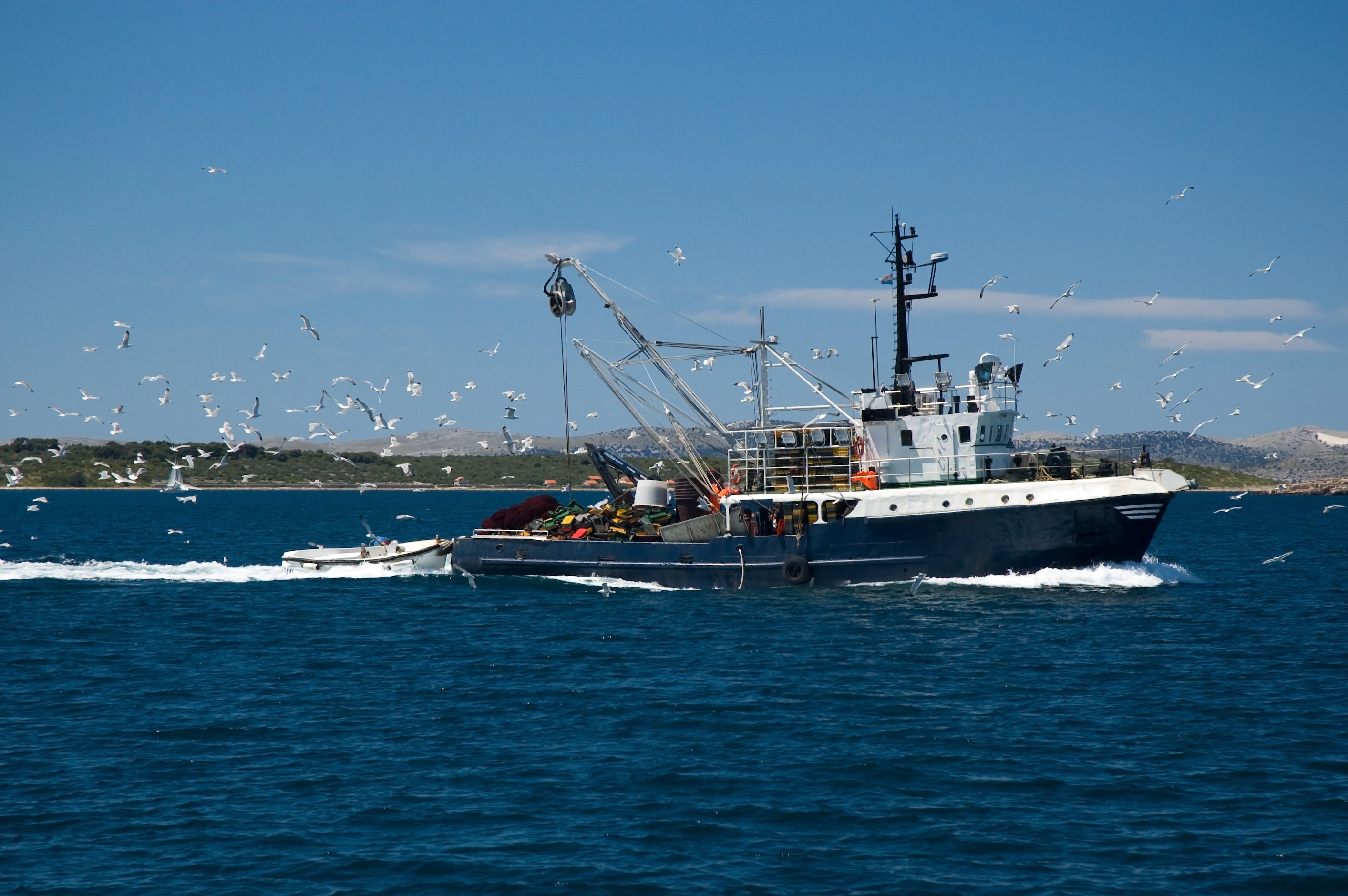 Fishing boat on the water with seagulls around